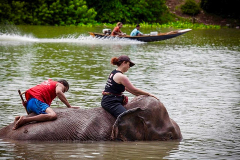 From Bangkok: Private Guided Ayutthaya Day Tour Guide+Ticket/ Wt Mahathat/ Wt PhraSri/ Elephant Vil/ Wt Chai