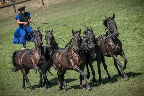 Från Budapest: Puszta Horse Show och besök på landsbygden