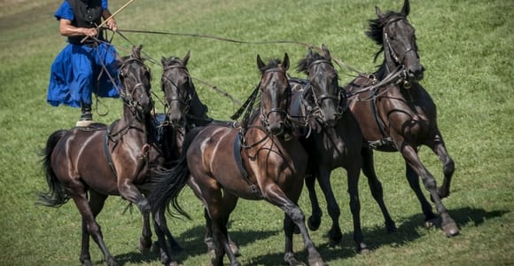 From Budapest: Puszta Tour with Horse Show & Carriage Ride