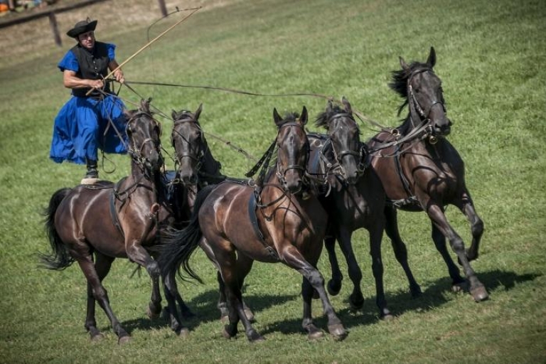 Dagtocht vanuit Boedapest: Puszta-paardenshow en plattelandVolledige dag Puszta-tour met pick-up