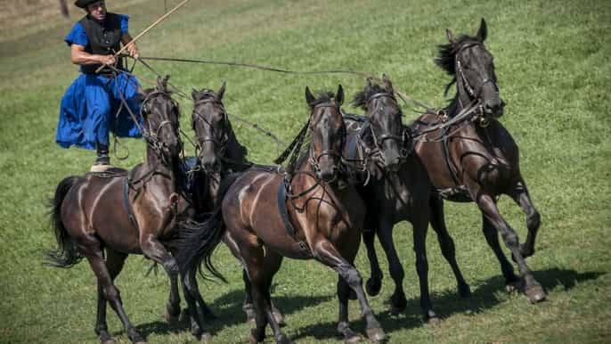 Day Trip from Budapest: Pusta Horse Show and Countryside