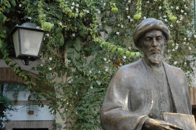 Cordoue : visite à pied de la mosquée et du quartier juifVisite de groupe en anglais