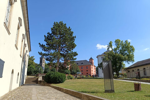 From Dresden: Table mountains Lilienstein & Königstein tour