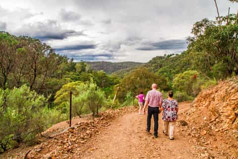 Boutique Full-Day Wildlife Tour from Sydney