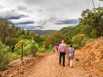 Ab Sydney: Tagestour durch die Wildnis Ab Sydney: Tagestour durch die Wildnis