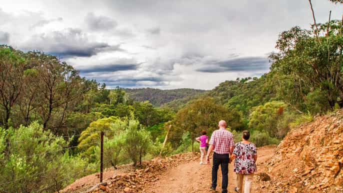 boutique fullday wildlife tour from sydney