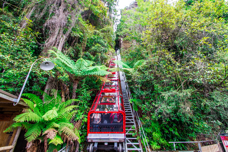 Depuis Sydney : excursion aux montagnes bleues en minibus