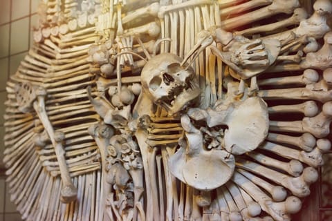 From Prague: Day Tour to Kutná Hora & Ossuary with Tickets