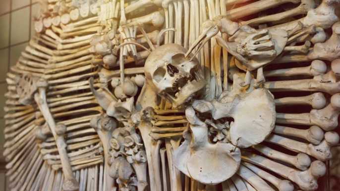 Half-Day Tour to Kutná Hora and Ossuary from Prague