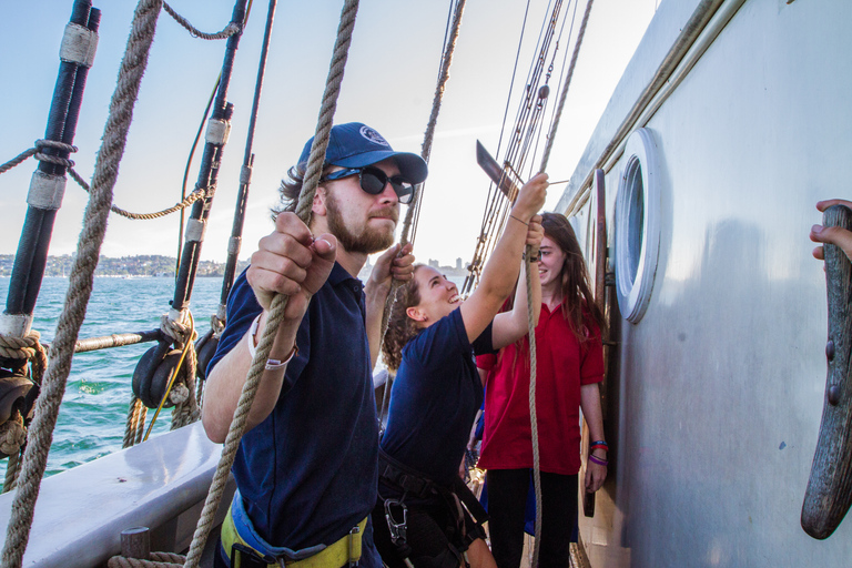 Sydney: Tall Ship Harbour Twilight Dinner Cruise