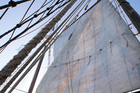 Sydney: cruzeiro com jantar no porto do navio alto no crepúsculoSydney: Cruzeiro com Jantar Crepúsculo em Tall Ship Harbor