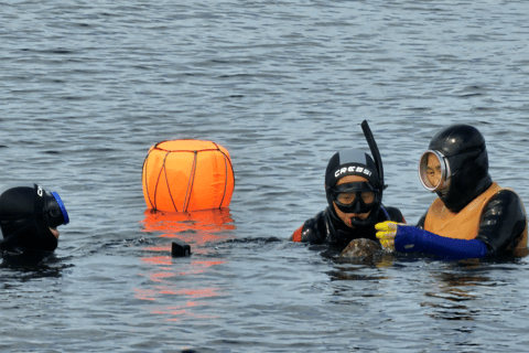 Jeju: Haenyeo Culture Experience with Seafood Tasting