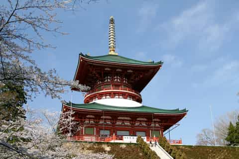 Narita: Narita-san Shinsho Temple Layover Tour