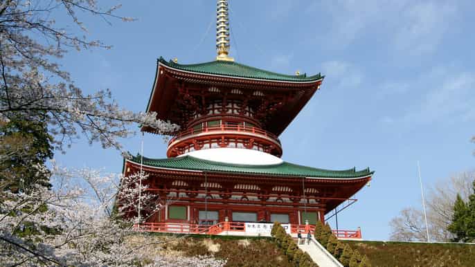 narita naritasan shinsho templo de layover tour