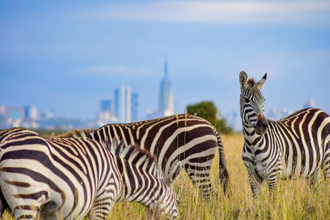 Parque Nacional de Nairobi, Orfanato de Elefantes y Centro de Jirafas