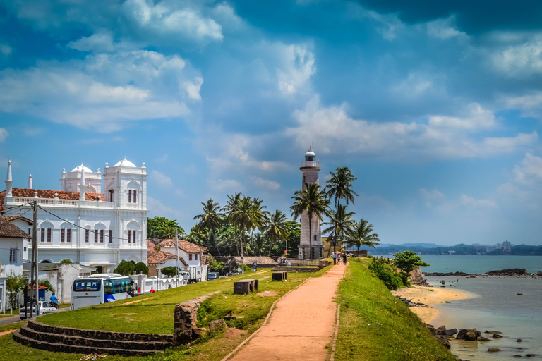 7 night 8 days Tour in Srilanka
