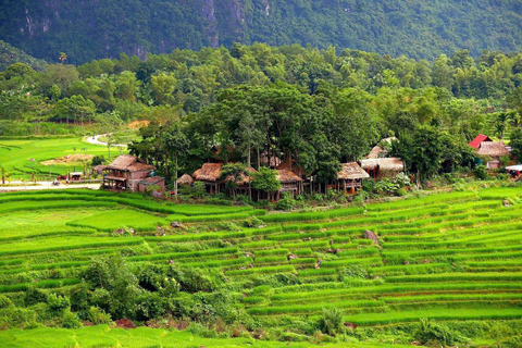 Hanoi: 3-Day Pu Luong, Ninh Binh Excursion & Guide, Homestay