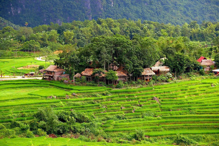 Hanoi: 3-Day Pu Luong, Ninh Binh Excursion & Guide, Homestay