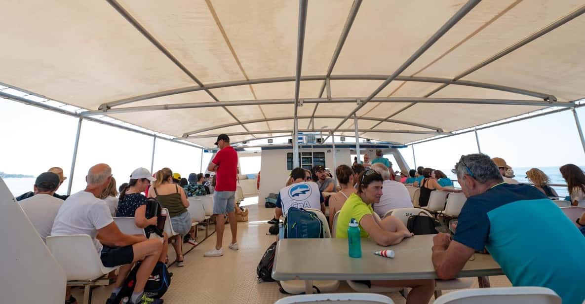 Afbeelding 1 van Santa Pola: Tabarca Catamaran Cruise met Onderwater Visie