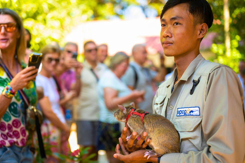Siem Reap: Afternoon APOPO Rats Tour + Phare Circus Option Tour Included Phare Circus Show
