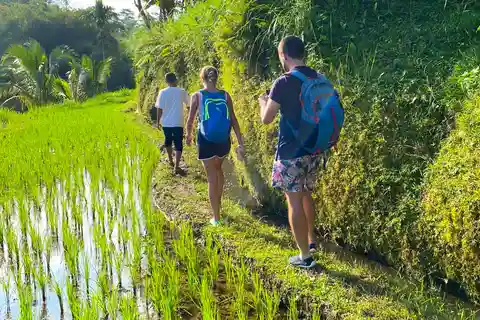 Exclusive Tetebatu: Waterfall, Rice Fields, Monkey & Weaving