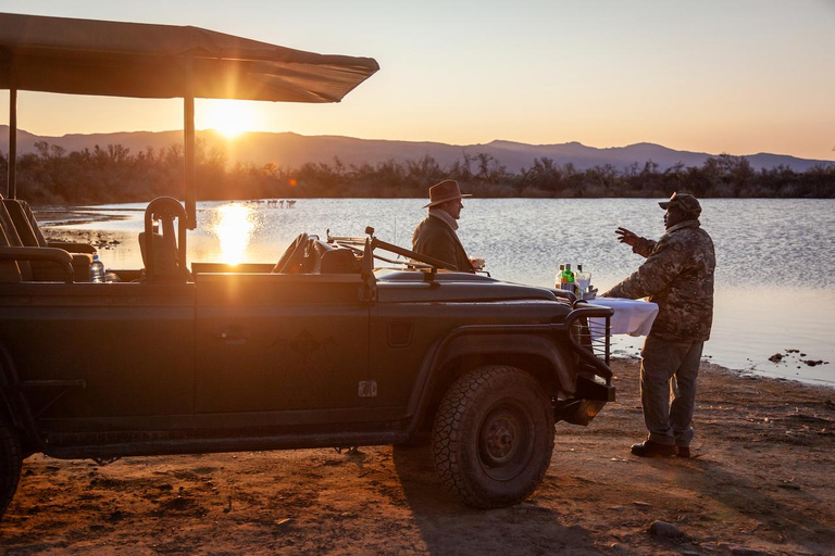 Cape Town: One-Day Safari with Game Drive & Lunch