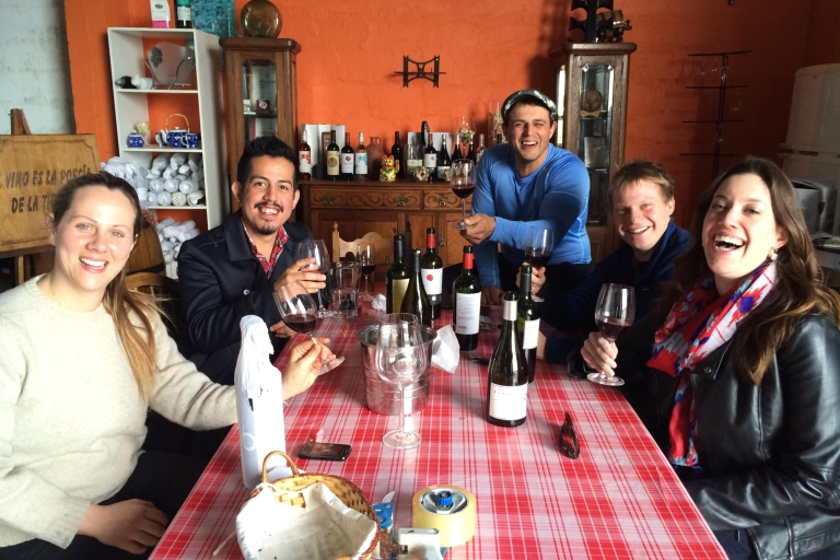 Montevideo: Expérience du vin Tannat à CanelonesExpérience du vin uniquement