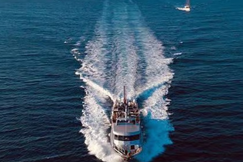 Zakynthos Cruise Ship Tour: Shipwreck, Blue Caves & Xigia