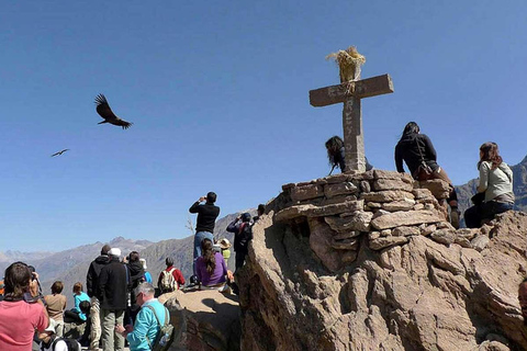 Caminata dentro del Cañón del Colca 2 DÍAS con comidas en Arequipa