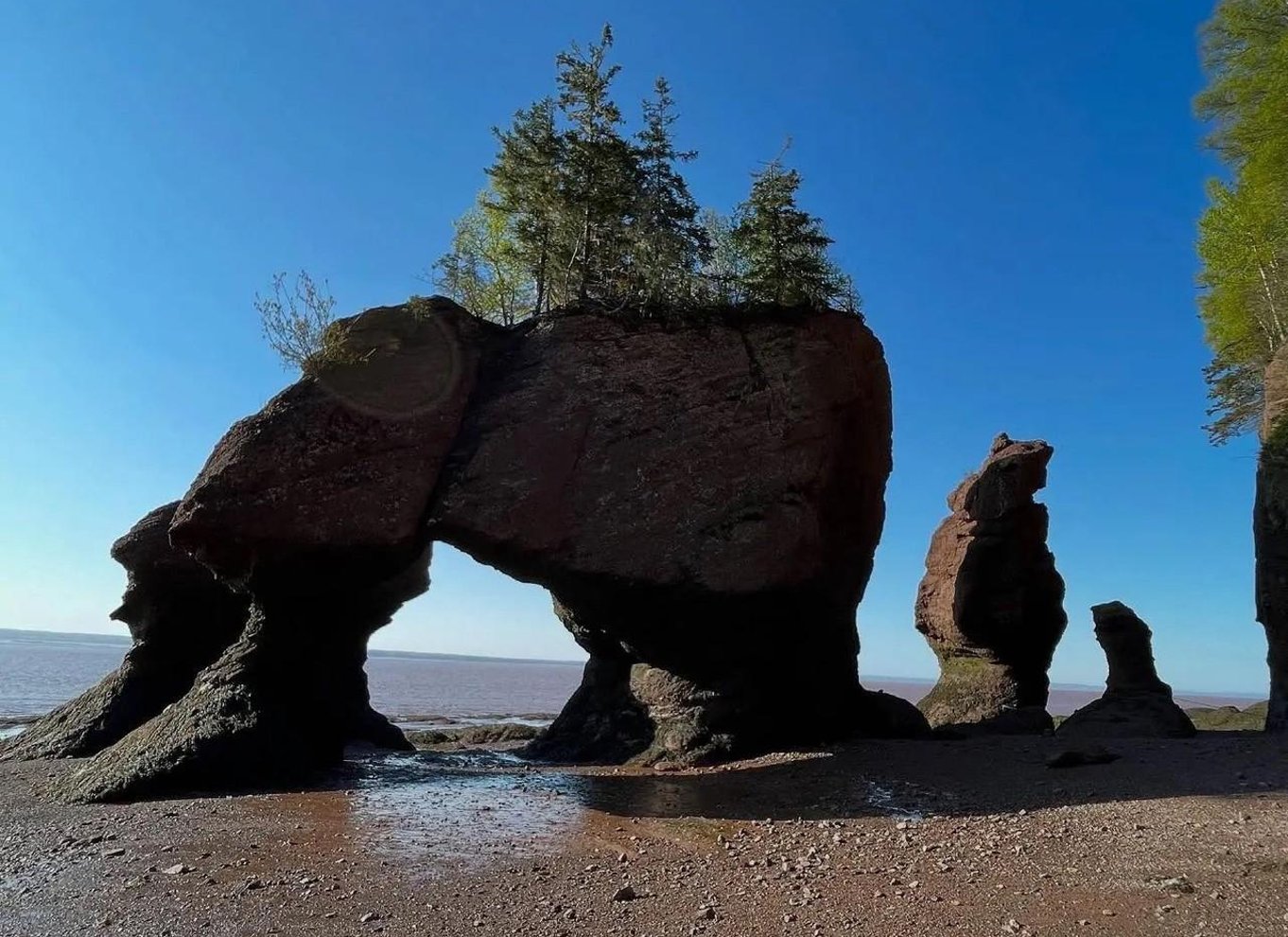 Moncton: Naturskøn shuttleoplevelse til Hopewell Rocks