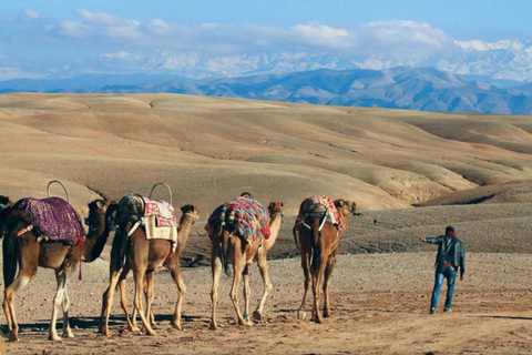 Pacote para o deserto de Agafay: passeio de buggy e de camelo e jantar com espetáculoPacote Deserto de Agafay: passeio de quadriciclo, passeio de camelo e jantar com show