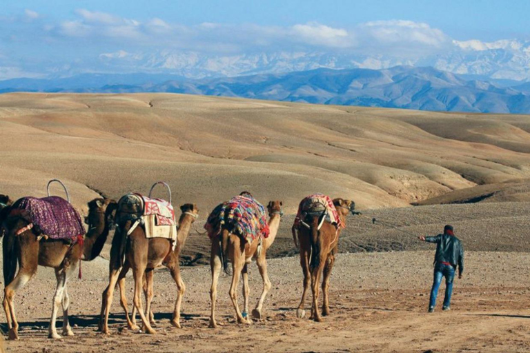 Pacote para o deserto de Agafay: passeio de buggy e de camelo e jantar com espetáculoPacote Deserto de Agafay: passeio de quadriciclo, passeio de camelo e jantar com show