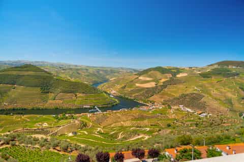 Full-Day Douro Wine Tour with Lunch and River Cruise