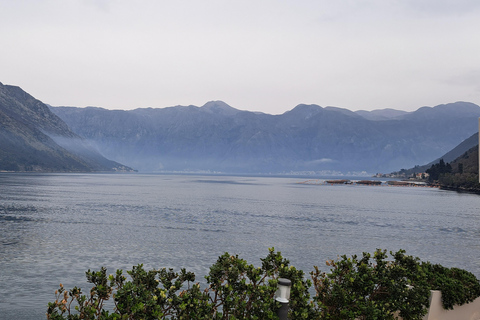 From Dubrovnik: Montenegro Full-Day Tour