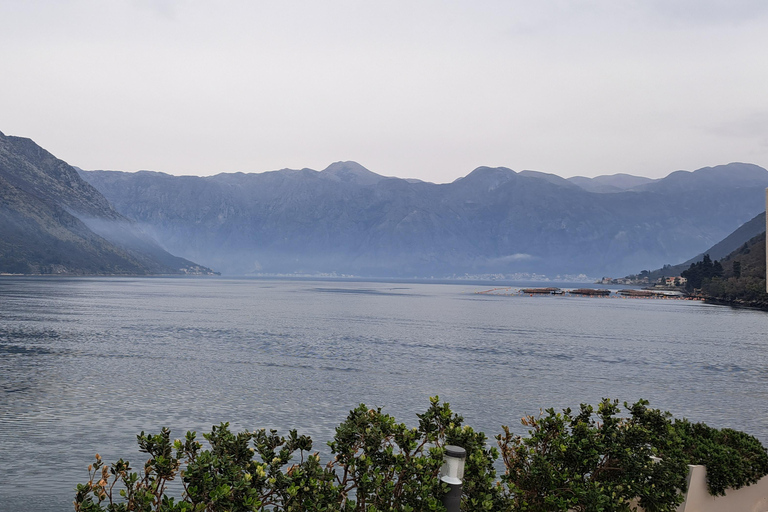 From Dubrovnik: Montenegro Full-Day Tour