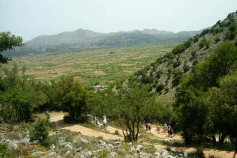 Winery Tour & Tasting, Lasithi Plateau and Psychro Cave