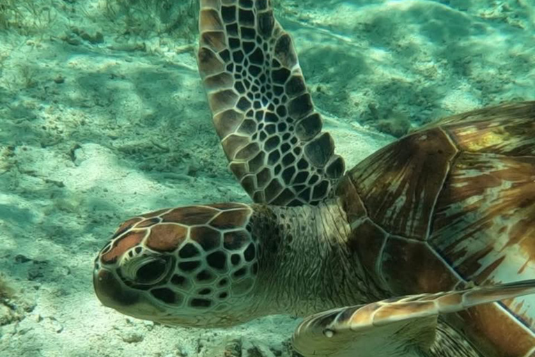 Mauritius: North Highlights Tour with Guide & Transfers