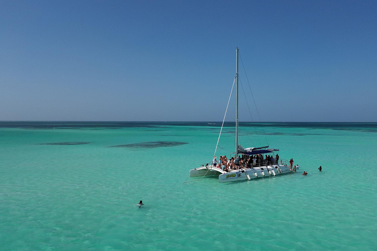 Punta Cana: Saona Island & Altos de Chavón Day Trip