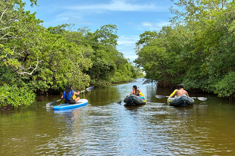 Fort Lauderdale: Kayak & Paddleboard Mangroves Eco Adventure