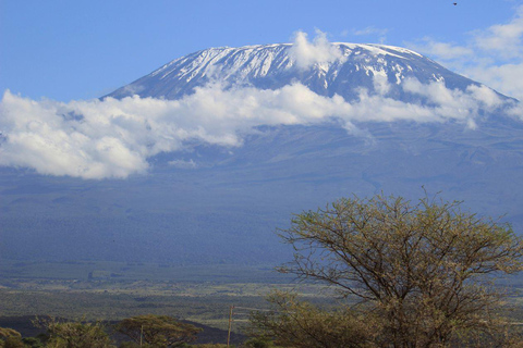 La mejor experiencia de excursión de un día por la meseta de Shira en el Kilimanjaro