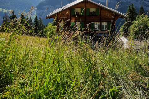 Off the beaten path -Waterfalls, streams and glaciers