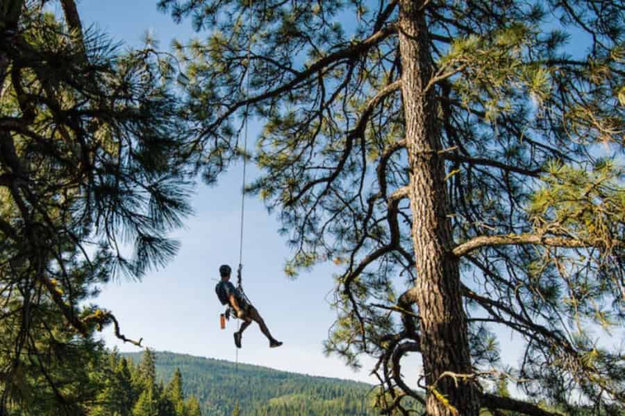 Coeur d'Alene: Zipline-Tour mit Mittagessen im Baumhaus. Foto: GetYourGuide