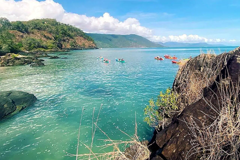 Palm Cove: Guided Half Day Turtle Kayak Tour