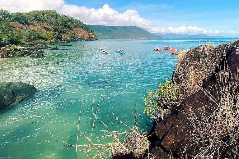 Palm Cove: Guided Half Day Turtle Kayak Tour