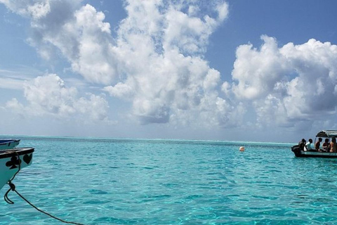 Zanzibar: tour dell'isola di Pungume e snorkeling con pranzo barbecueTour privato con servizio di prelievo e rientro in hotel incluso