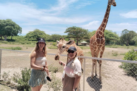Coron: Calauit Safari Adventure