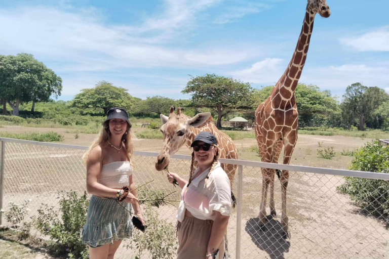 Coron: Calauit Safari Adventure