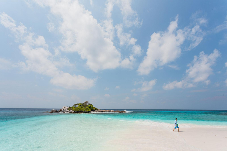 Phuket Dolfijn Zoektocht: Expeditie naar Racha &amp; Maiton eiland