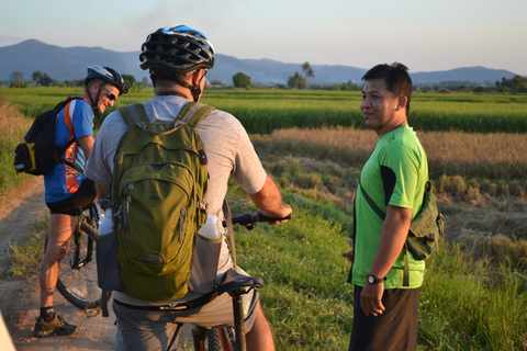 From Chiang Mai: Mae Taeng Valley and Waterfalls Cycle Tour