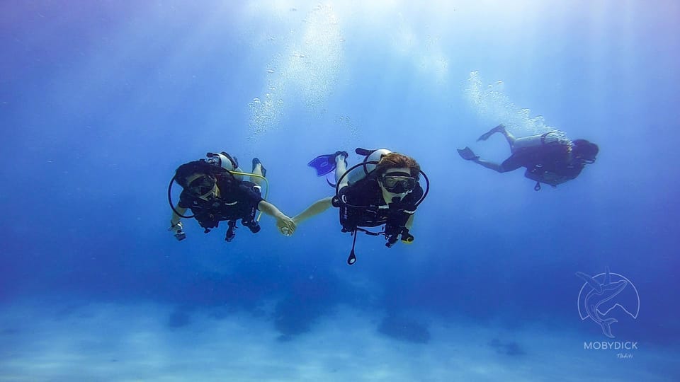 Pack : snorkeling + baptême de plongée dans un jardin de corail à Tahiti